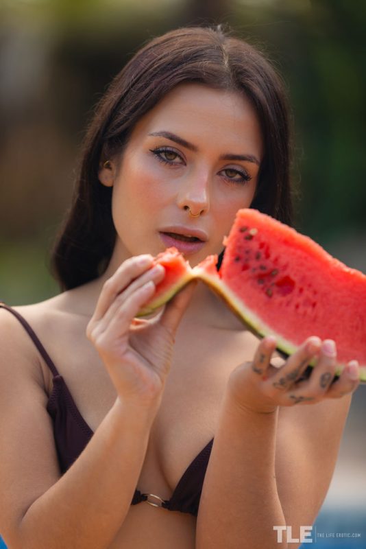 Taste Of Summer 1