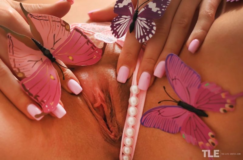 Butterfly Effect 1