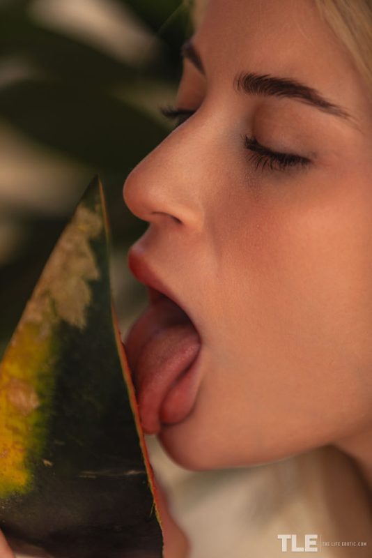 Fruits And Curves 1