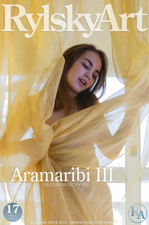 Aramaribi III