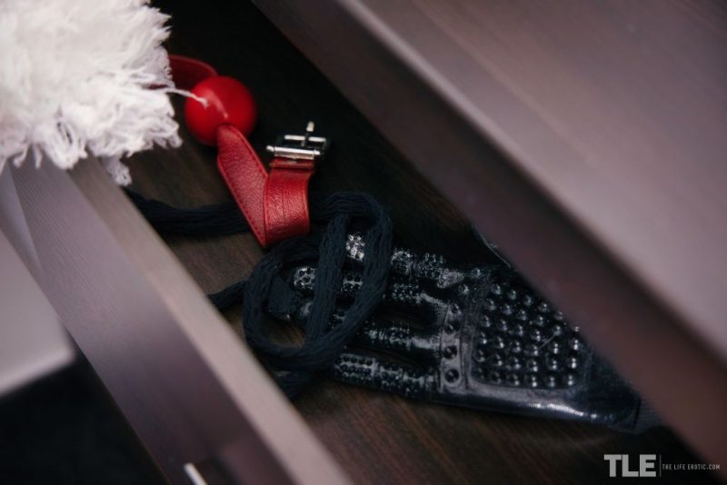 Kinky Maid 1
