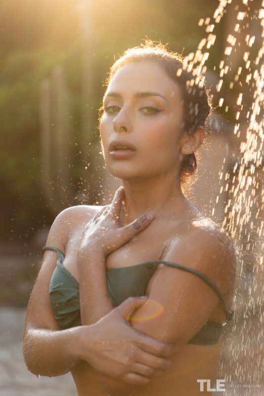 Sunkissed Streams 1