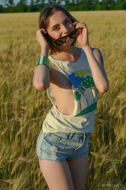 Harvest