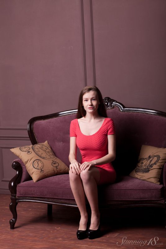 Brown Sofa