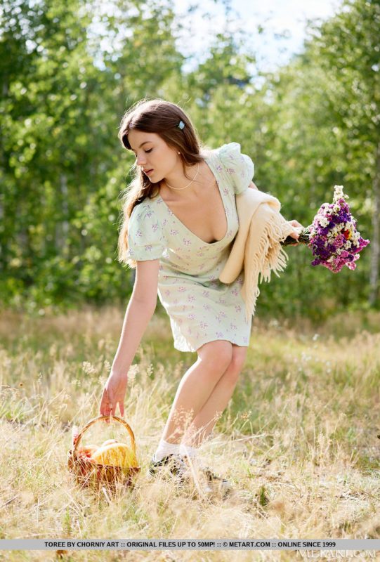 Sexy Picnic