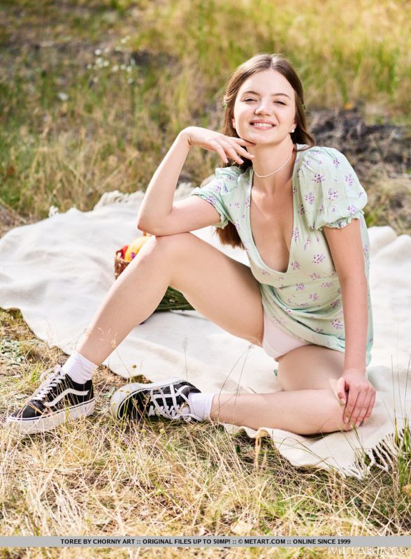 Sexy Picnic