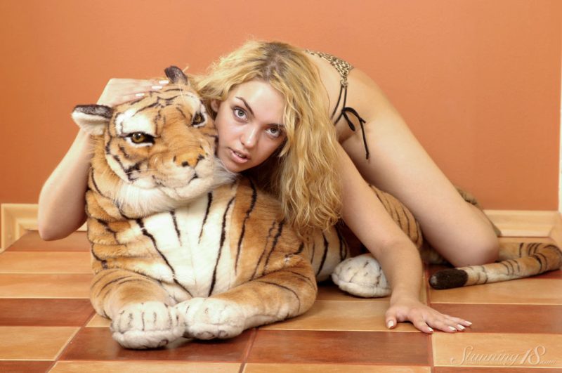 My Favorite Tiger