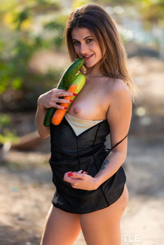 Vegan Dreams 1