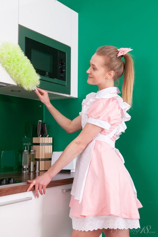 The Housekeeper