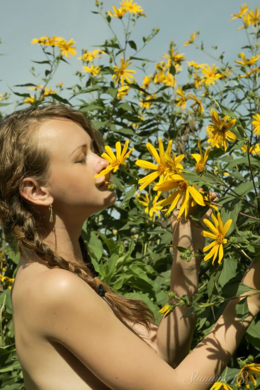 Vega – Field of daisies