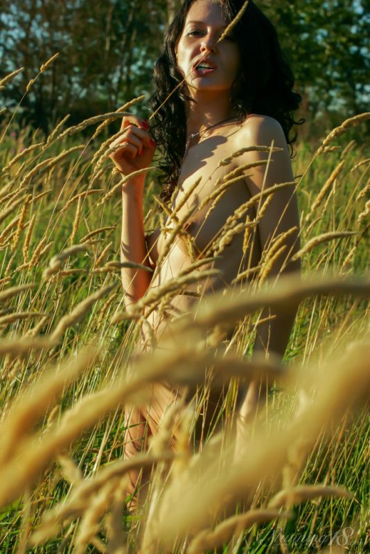 Voleta – Looking at the horizon